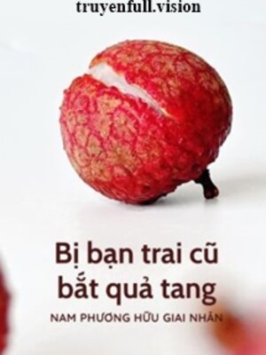 Ảnh bìa Bị Bạn Trai Cũ Bắt Quả Tang